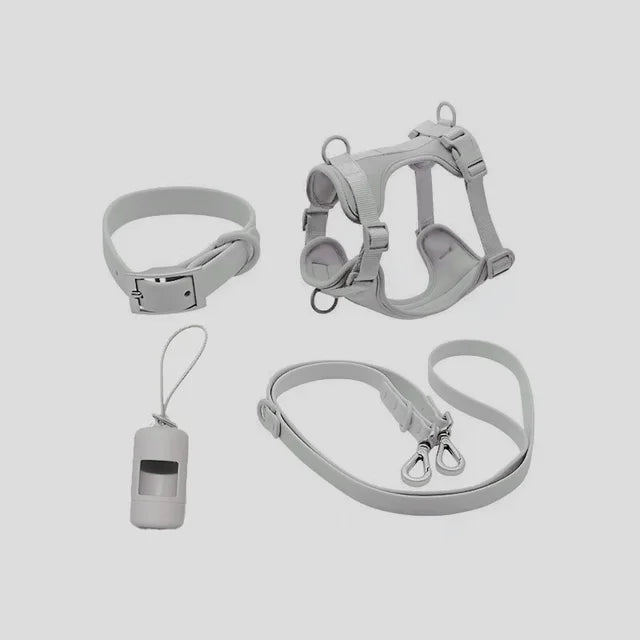 Luxuriöses, farblich abgestimmtes Set mit Geschirr, Leine, Halsband und Behälter für Kotbeutel