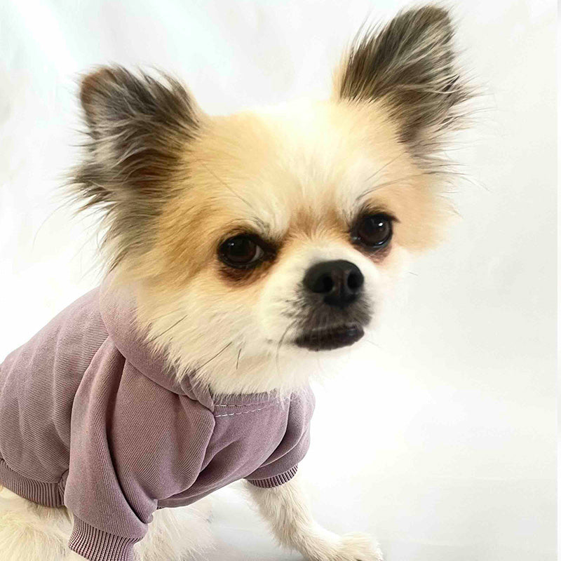 Baumwollhoodie für Hunde in vielen Farben