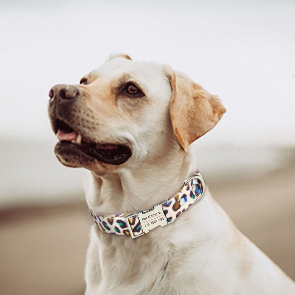 Hundehalsband mit Leopardenmuster