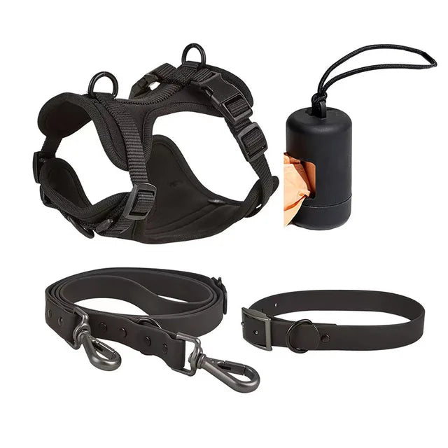 Luxuriöses, farblich abgestimmtes Set mit Geschirr, Leine, Halsband und Behälter für Kotbeutel