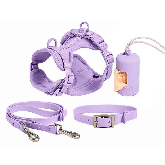 Luxuriöses, farblich abgestimmtes Set mit Geschirr, Leine, Halsband und Behälter für Kotbeutel