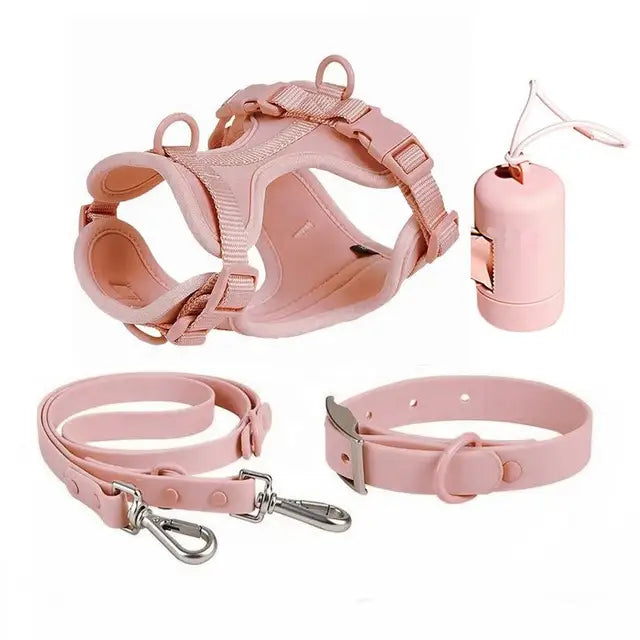 Luxuriöses, farblich abgestimmtes Set mit Geschirr, Leine, Halsband und Behälter für Kotbeutel
