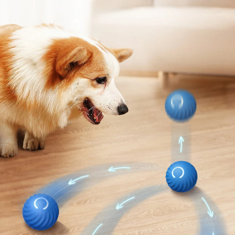 Smart Studs und Boll für Hund GravitationsIntelligent Laddas mit USB