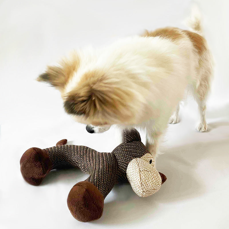 Elegant soft toy with squeaking sound for dogs