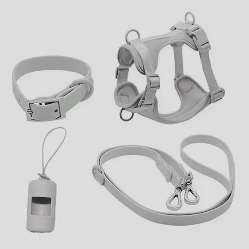 Luxuriöses, farblich abgestimmtes Set mit Geschirr, Leine, Halsband und Behälter für Kotbeutel