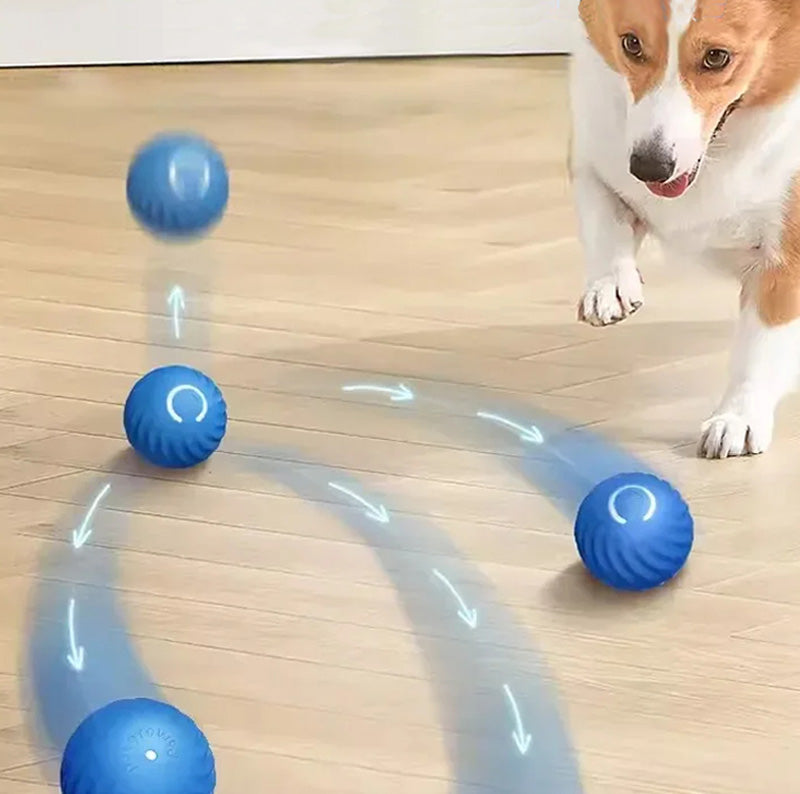 Smart Studs und Boll für Hund GravitationsIntelligent Laddas mit USB