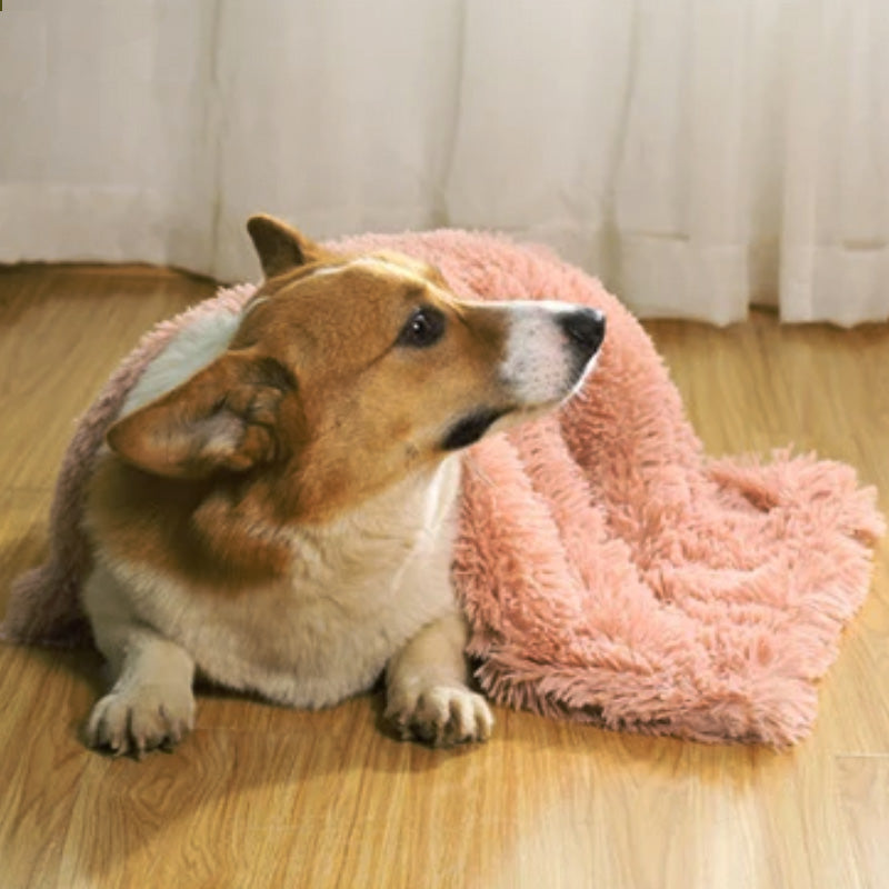 Hundedecke mit beruhigender Wirkung