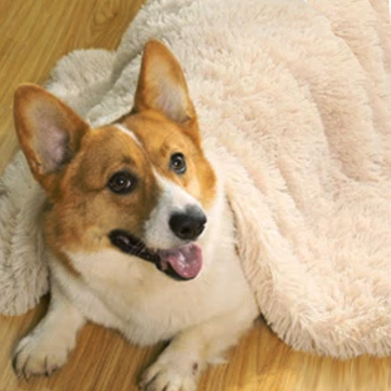 Hundedecke mit beruhigender Wirkung