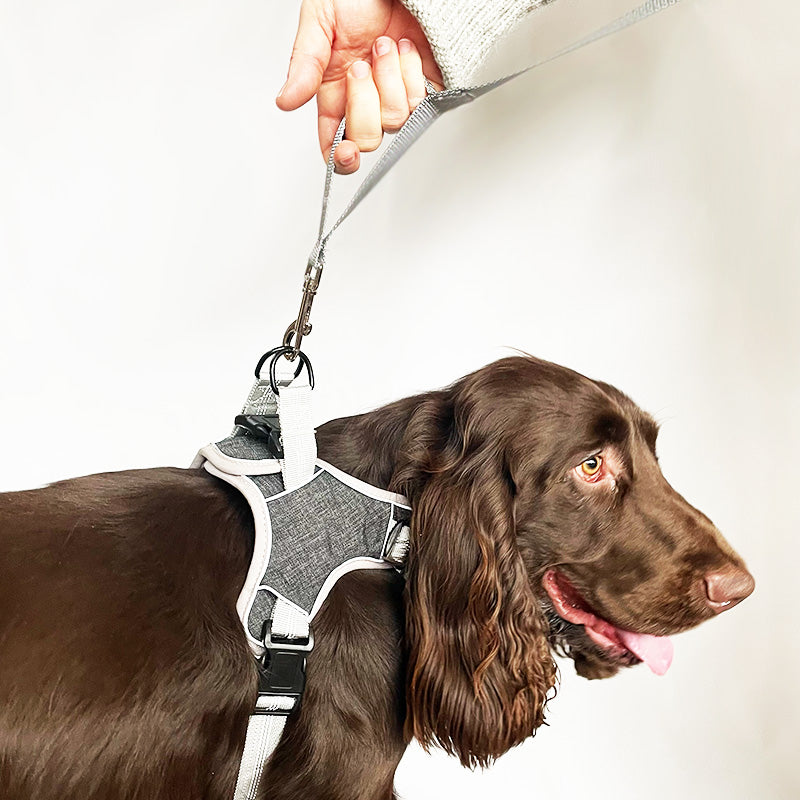 Comfort harness and leash with reflectors that prevent escape
