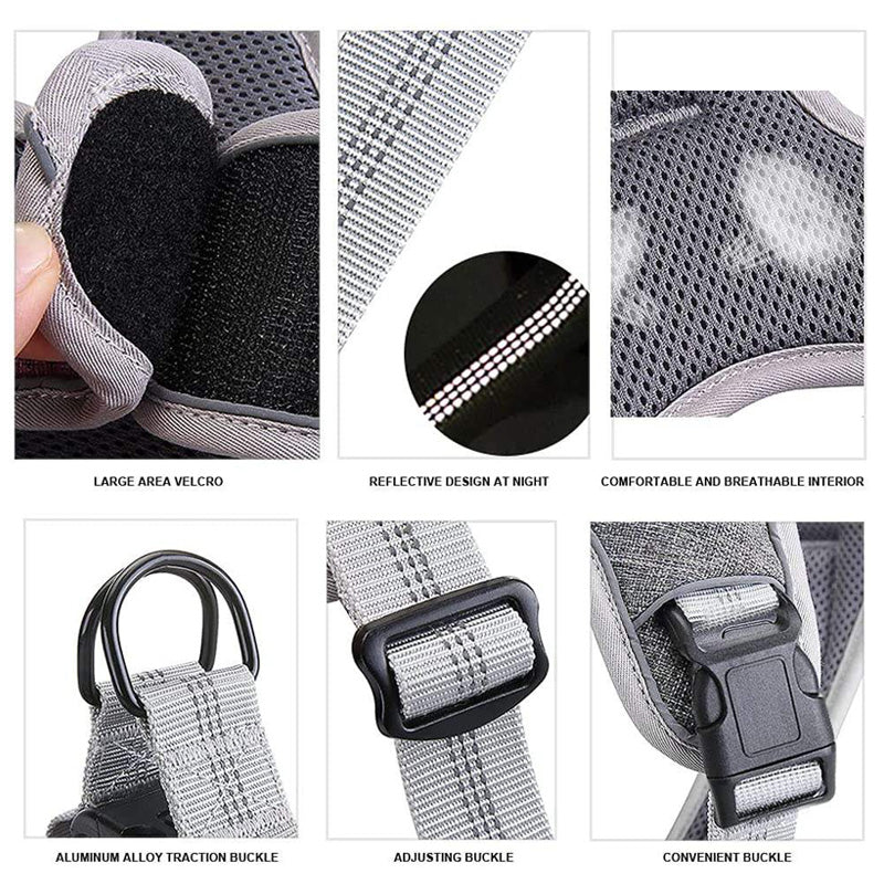 Comfort harness and leash with reflectors that prevent escape