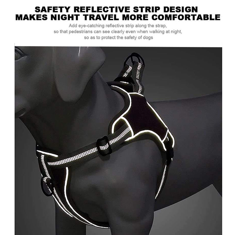 Comfort harness and leash with reflectors that prevent escape