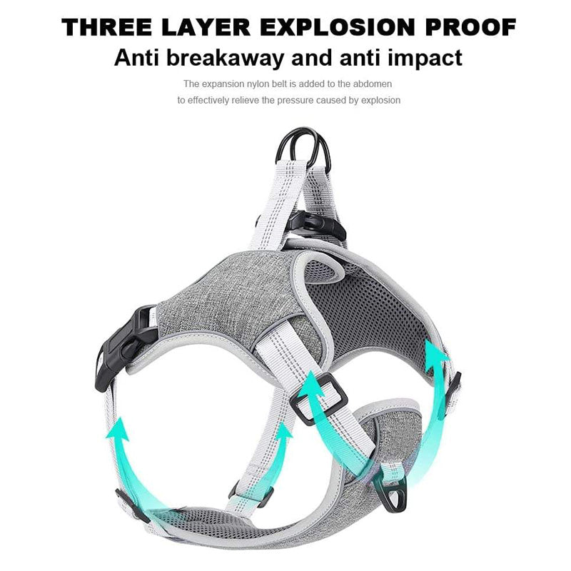 Comfort harness and leash with reflectors that prevent escape