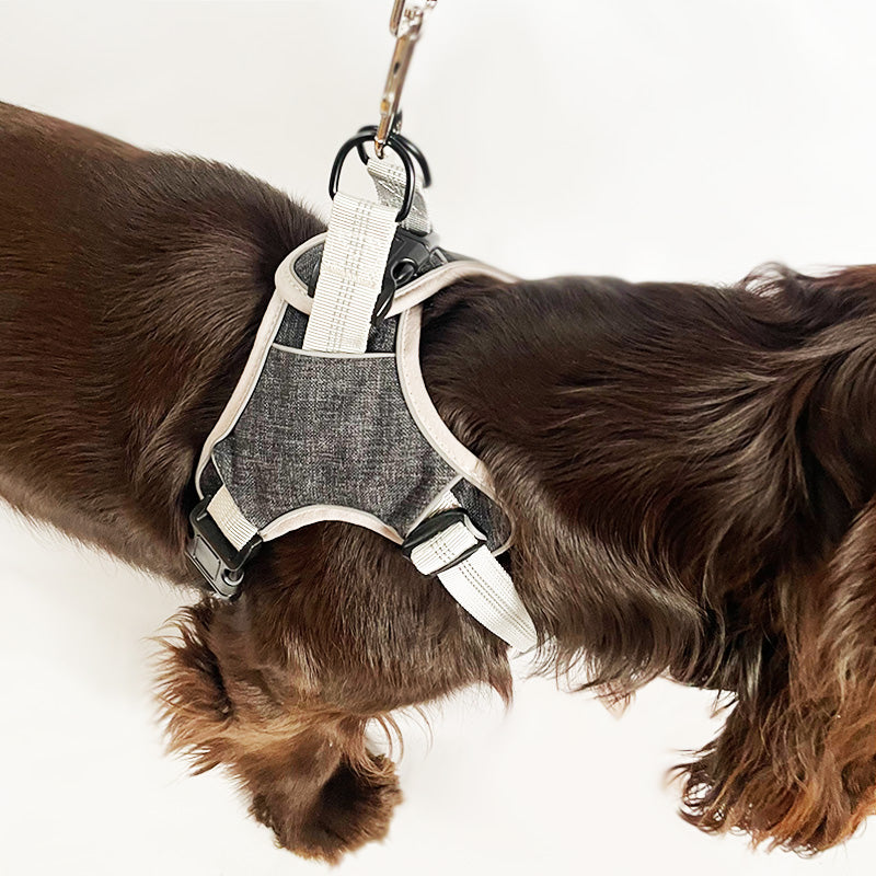 Comfort harness and leash with reflectors that prevent escape