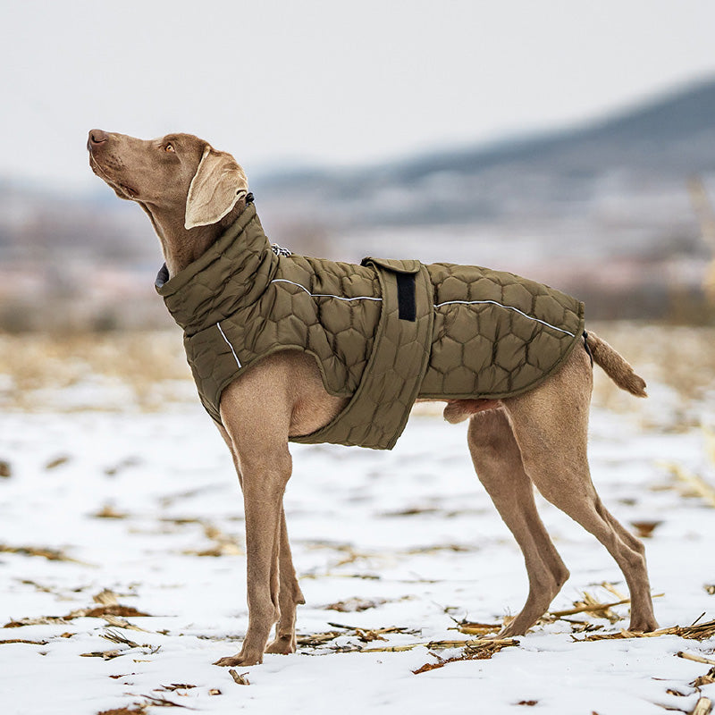 Quilted warm winter vest for your dog