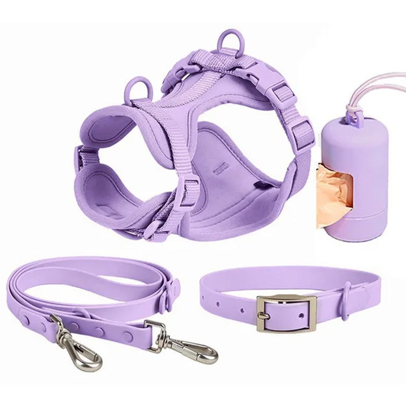 Luxuriöses, farblich abgestimmtes Set mit Geschirr, Leine, Halsband und Behälter für Kotbeutel