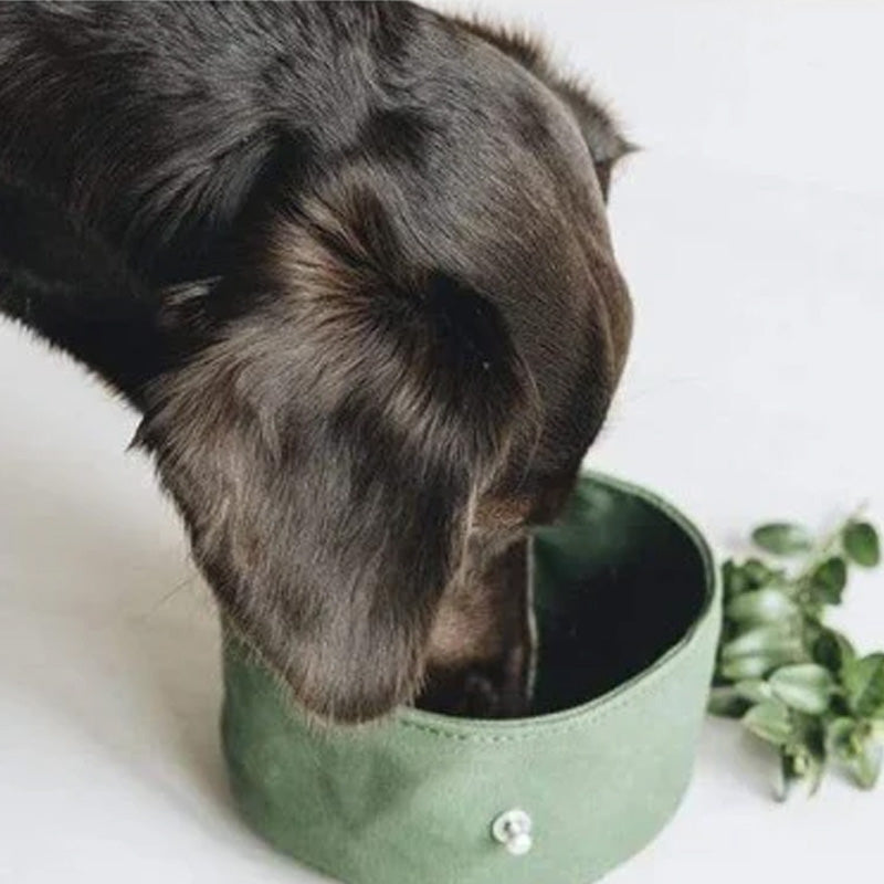 Portable food and water bowl for walks