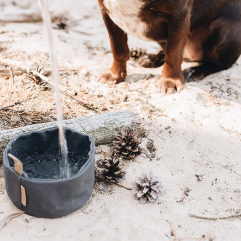 Portable food and water bowl for walks