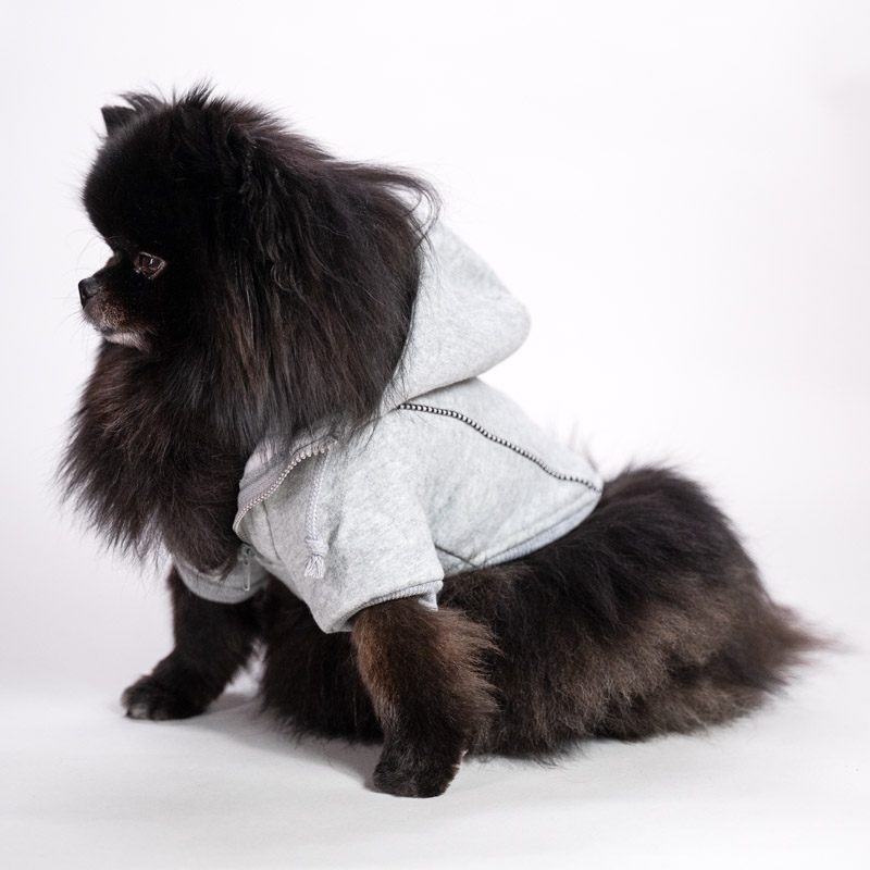 Fleece-lined hoodie in cotton blend for dogs