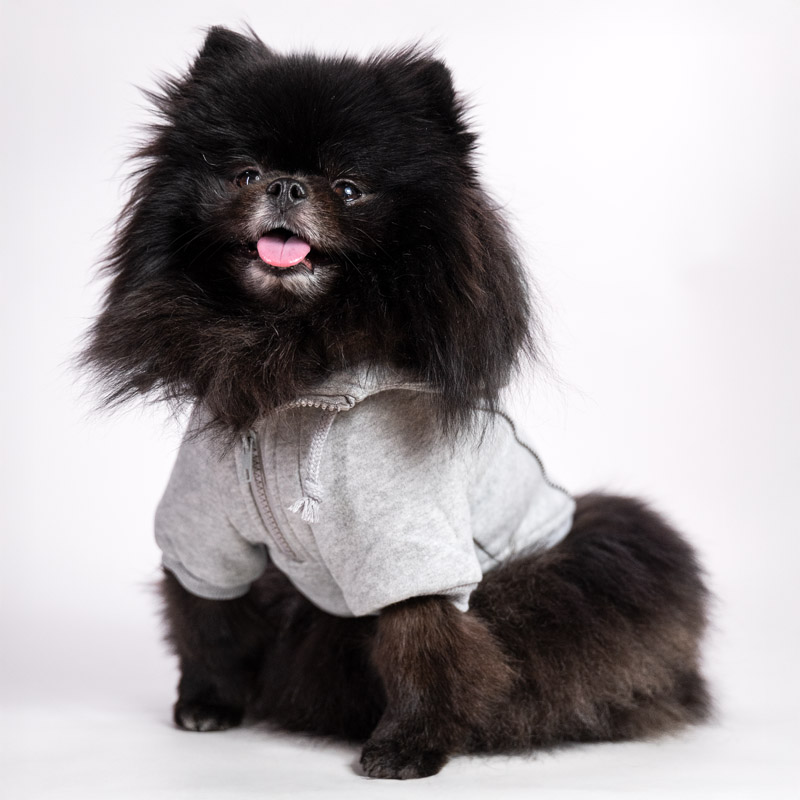 Fleece-lined hoodie in cotton blend for dogs