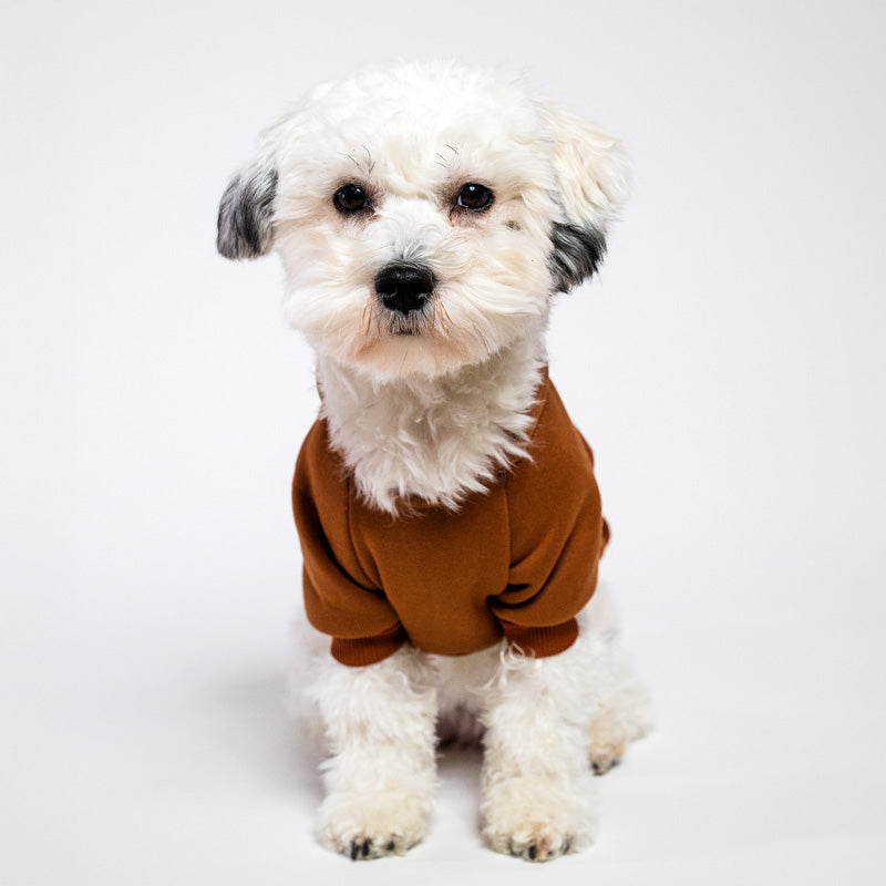 Baumwollhoodie für Hunde in vielen Farben
