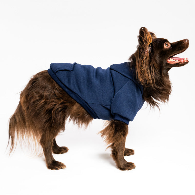 Baumwollhoodie für Hunde in vielen Farben