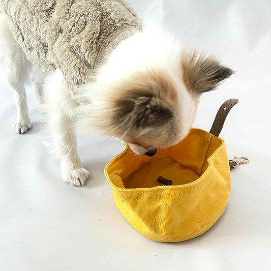 Portable food and water bowl for walks