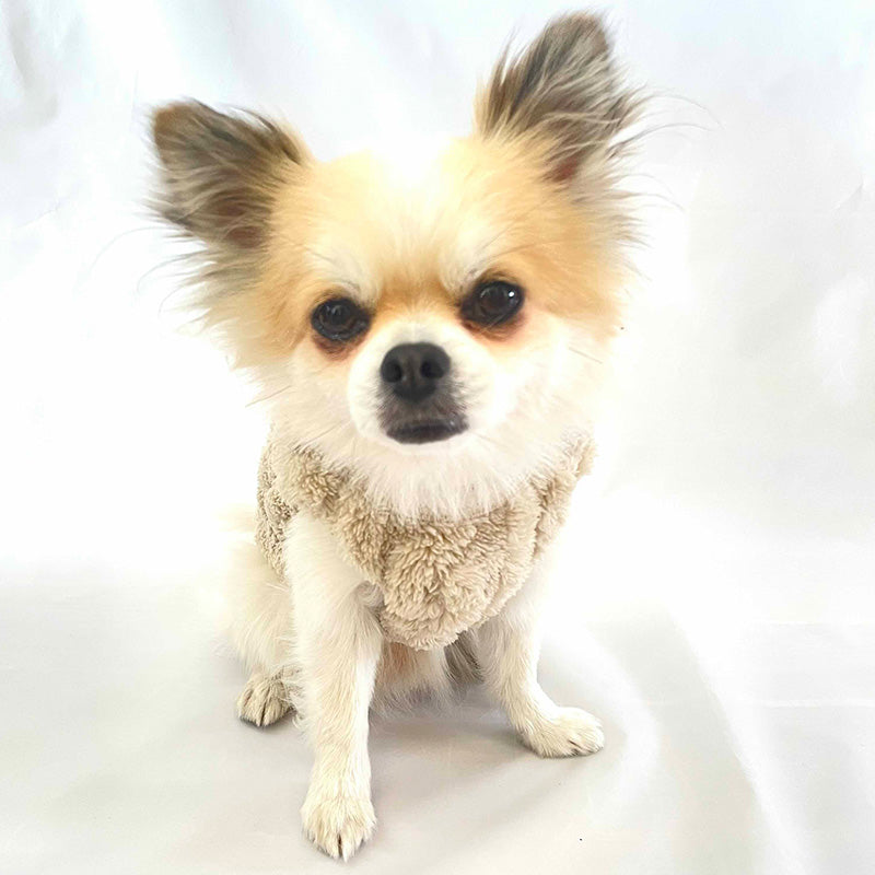 Cuddly cable-knit dog vest