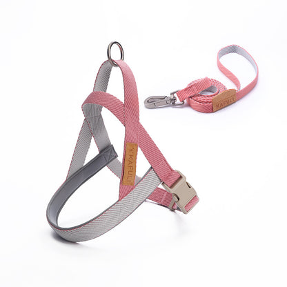 Sturdy dog ​​harness and matching leash