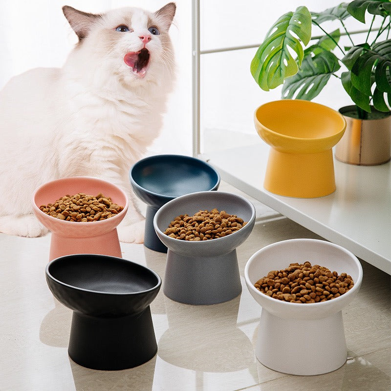 Heavy-duty ceramic food and water bowl