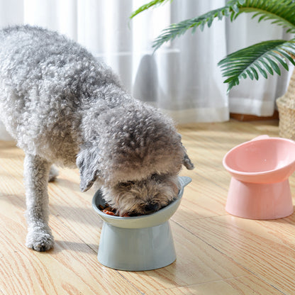 Raised food bowl on foot in sweet colors