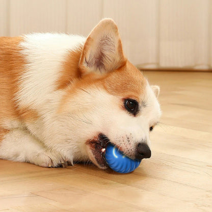 Smart studsande boll för hund gravitationsintelligent laddas med USB