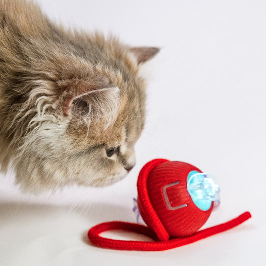 Automatic rolling ball interactive cat toy USB charging