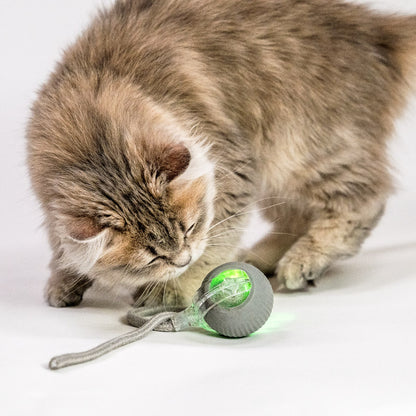 Paket 2 Stück automatischer Rollball