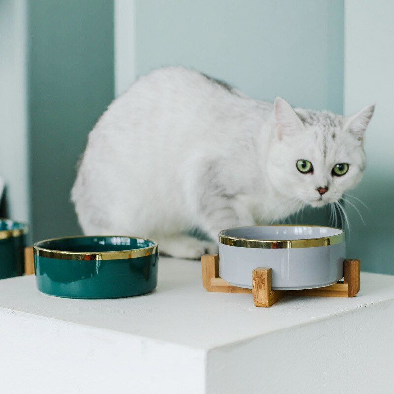 Elegant ceramic food bowl with gold rim and stable wooden base