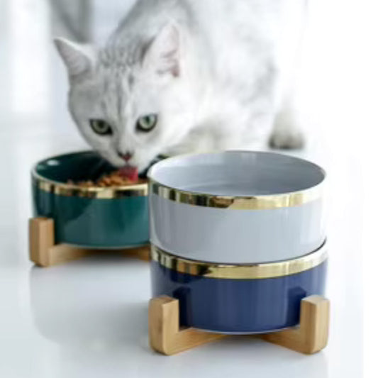 Elegant ceramic food bowl with gold rim and stable wooden base