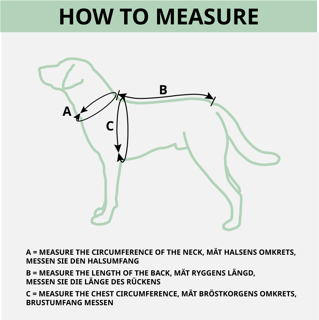 Comfort harness and leash with reflectors that prevent escape