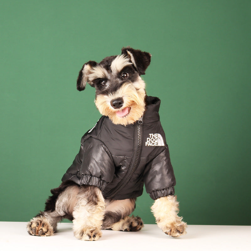 Cool lightly padded dog jacket from the brand Dog Face