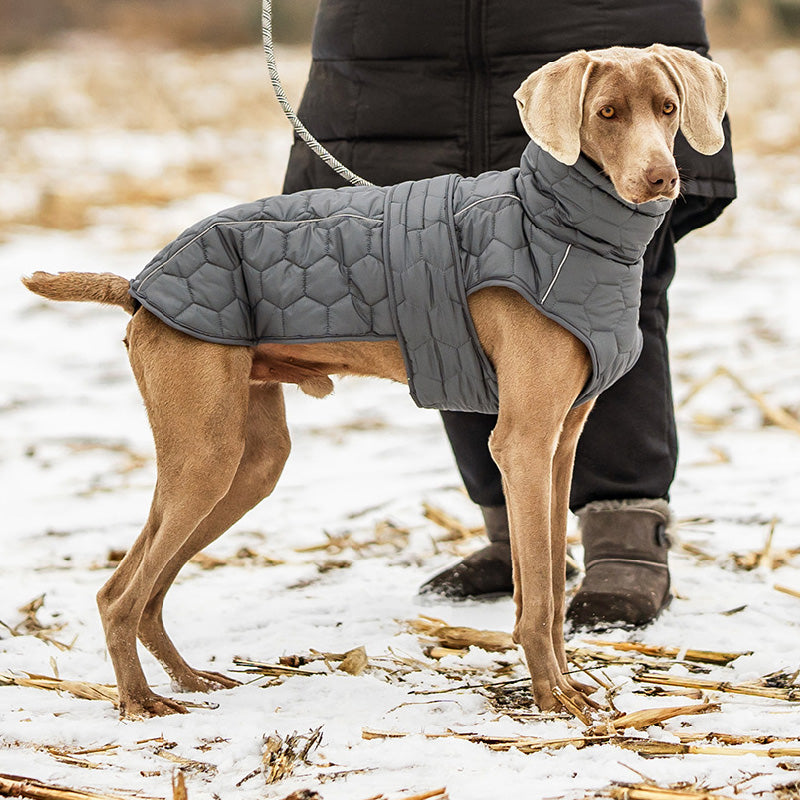 Kviltad varm vinterväst för din hund