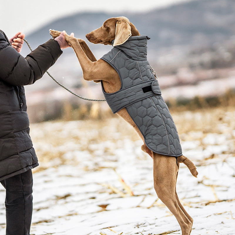 Kviltad varm vinterväst för din hund