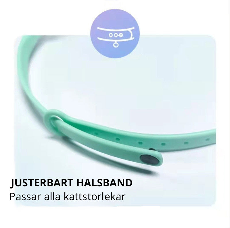 Laserpekare på justerbart katthalsband