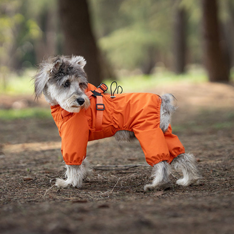 Rain jacket with built-in harness and practical features