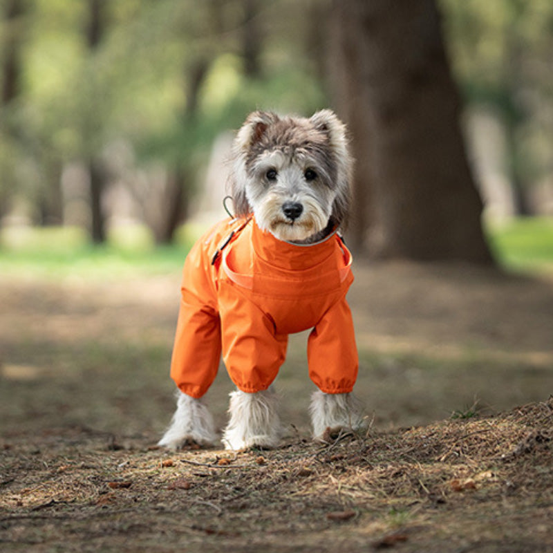 Rain jacket with built-in harness and practical features