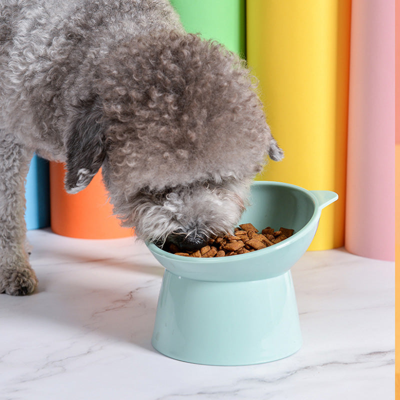 Raised food bowl on foot in sweet colors