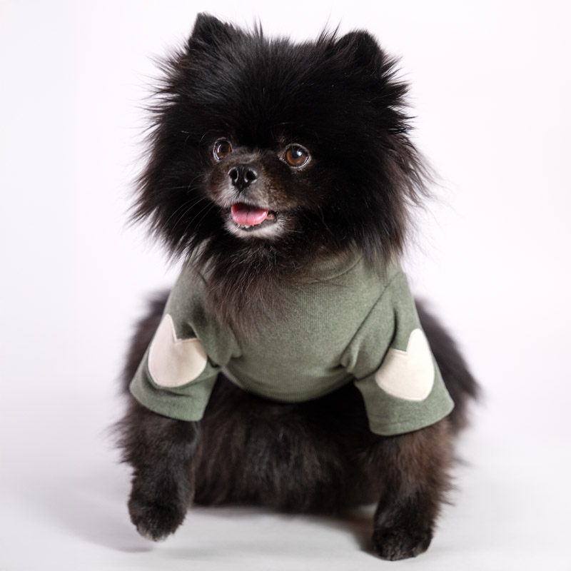 Soft dog sweater in brushed jersey and heart details