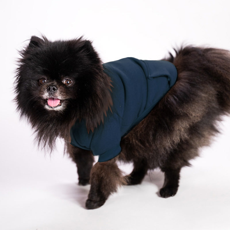 Cotton hoodie for dogs in many colors