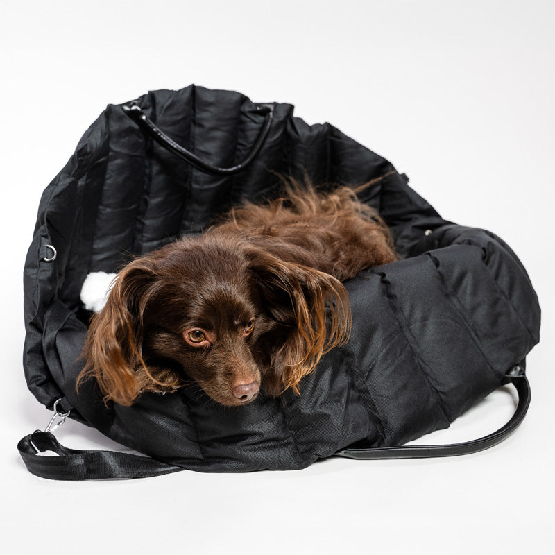 2-in-1 padded dog bag that easily converts into a comfortable car bed