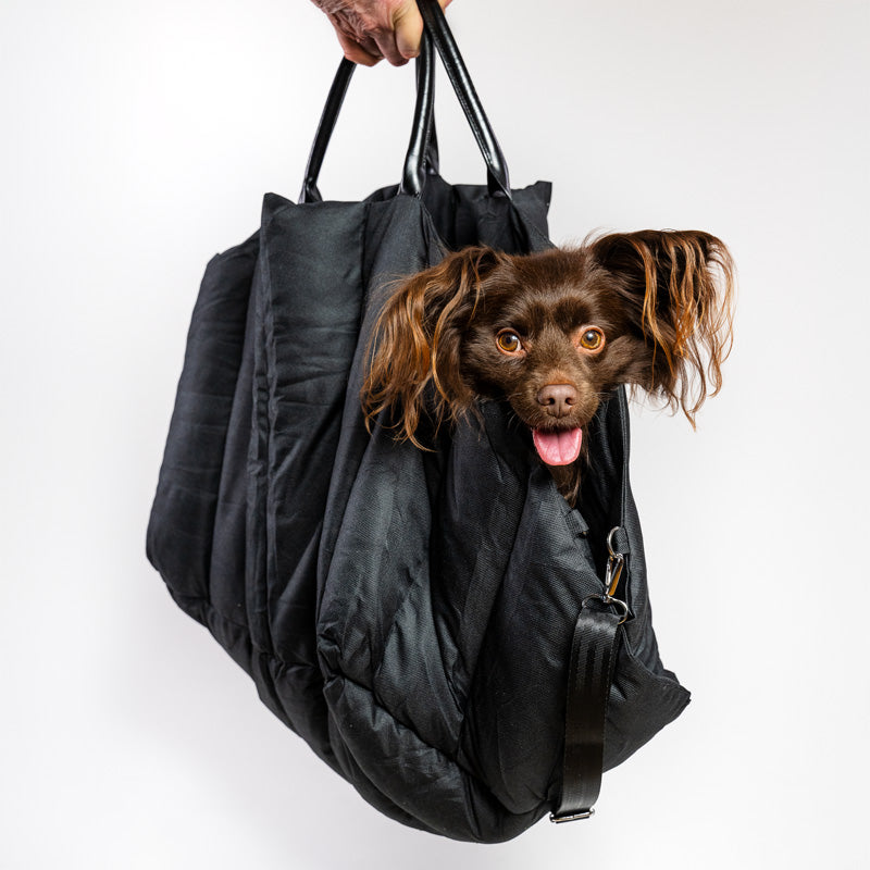 2-in-1 padded dog bag that easily converts into a comfortable car bed