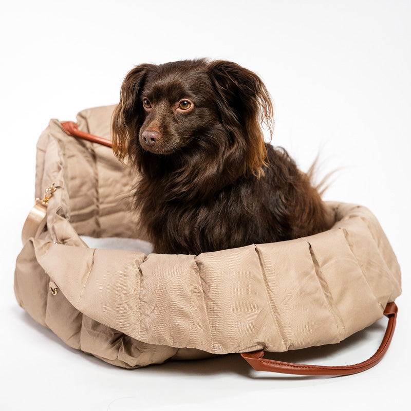 2-in-1 padded dog bag that easily converts into a comfortable car bed