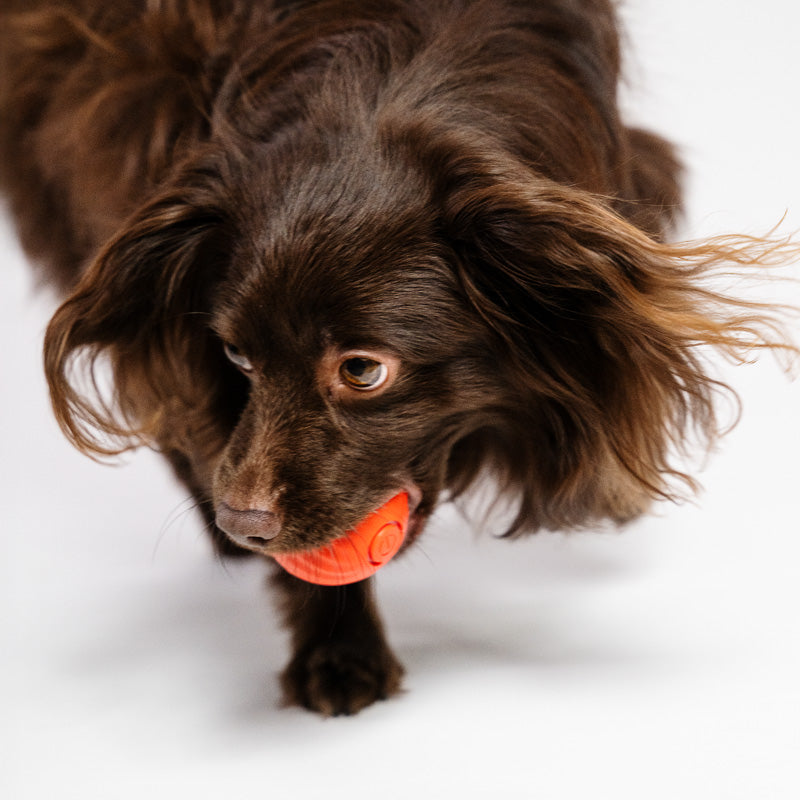 Smart studsande boll för hund gravitationsintelligent laddas med USB