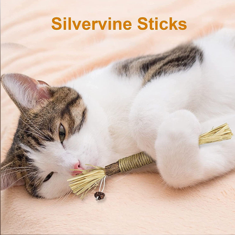 Silver wine chew stick with catnip - teeth cleaning